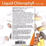 Now Liquid Chlorophyll 473ml - Image 3