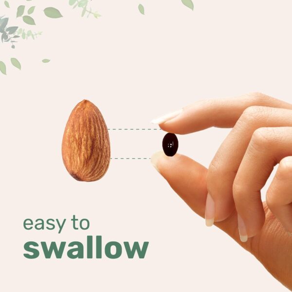 Micro Ingredients Ashwagandha Softgels 6000mg with MCT Oil – 300 Softgels - Image 5