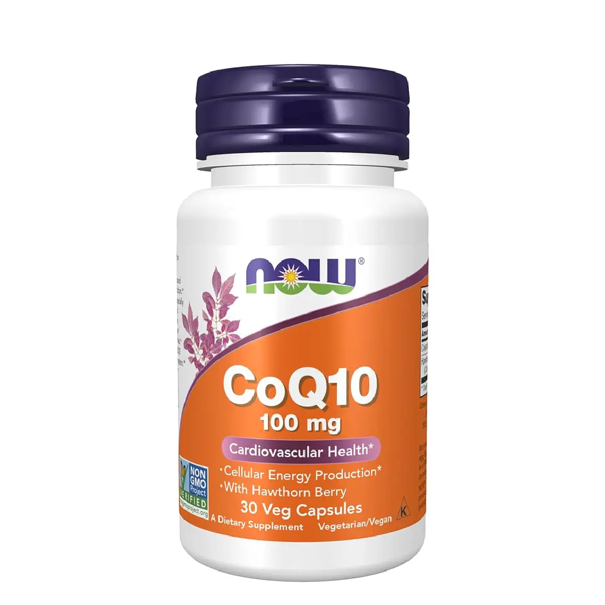 lob Now CoQ10 100 mg Dietary Supplement – 30 Veg Capsules - Image 1